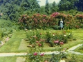The Formal Garden was previously a Rose Garden for the exclusive use of residents of the Newhall apartments. - 2