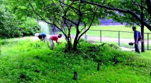 Maintenance volunteers in “Nan’s Meadow” help to reestablish native foliage near the redesigned south entrance.
