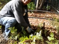 John Shreffler gets his hands dirty