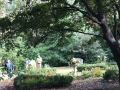 The Formal Garden as things wound up