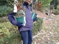 Volunteer Janet Wynn working in the Formal Garden