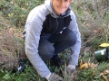 Volunteer Michael Cherkasky plants grasses in Nan’s Meadow