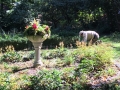 Volunteers plant in the Formal Garden
