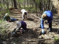PlantingBulbsSpring2015-fhp