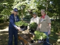 Planting in formal garden 9-24-16