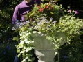 Planting in formal garden 9-24-16