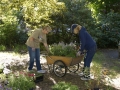 Planting in formal garden 9-24-16