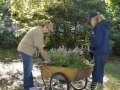 Planting in formal garden 9-24-16