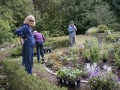 Planting in formal garden 9-24-16