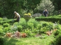 FHP_News-Fall14-garden