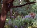 Photo by Bruce Wolfe - Summer 2013