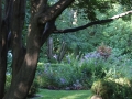 Photo by Bruce Wolfe - Summer 2013