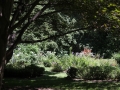 Photo by Bruce Wolfe - Summer 2013