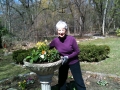 April 2014, Spring center piece in the formal Garden Photo Credit: Frank Caro