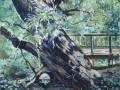 By: Stella Perlov