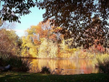 FallPond-Oct04