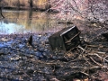 Trash-1975