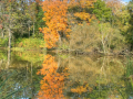 pond-fall07