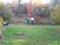 This photo shows a new patch of grass that we planted this fall (2015).