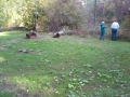 This photo shows a new patch of grass that we planted this fall (2015).