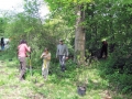 Volunteers readying the area for the new meadow. Some of the plant selections used to begin the transformation are already in place. Spring:Summer 2013 Newsletter