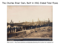 Water-Infrastructure-in-the-Establishment-of-Halls-Pond-Sanctuary_Page_10