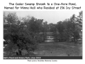 Water-Infrastructure-in-the-Establishment-of-Halls-Pond-Sanctuary_Page_14