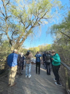 Neil Gore leads one of this year’s Birdwalks. Check our website in the early spring for our next Birdwalks in late April and early May.