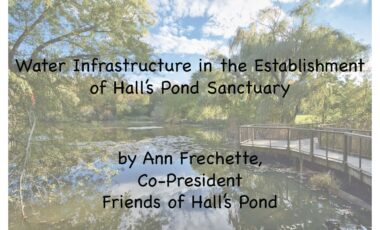 Hidden Histories of Brookline’s Green Spaces