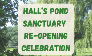 Hall's Pond Sanctuary Re-Opening Celebration