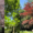 Hall's Pond Tree I-Spy