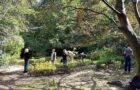 Community Work Day - October 18, 2026
